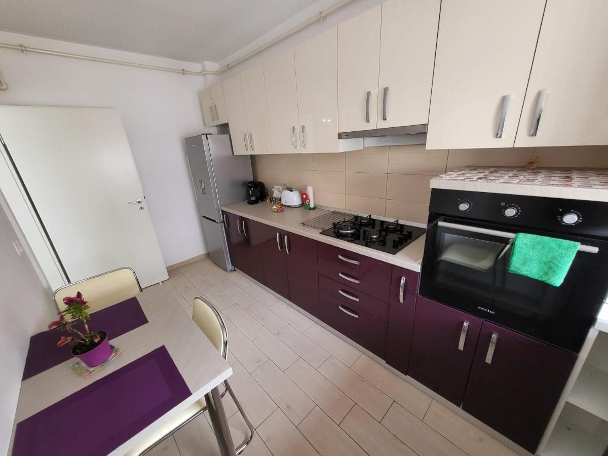 Appartement Casa Brianna à Braşov Extérieur photo